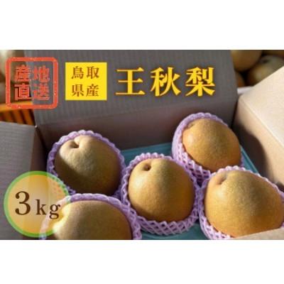 ふるさと納税 若桜町 [特選]鳥取県産 王秋 3kg[2026年10月下旬より順次発送]
