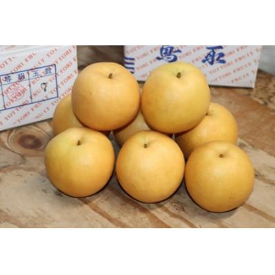 ふるさと納税 若桜町 [特選]鳥取県産 新興 3kg[2026年9月下旬より順次発送]