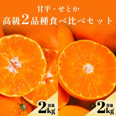 ふるさと納税 八幡浜市 [愛媛人気2品種食べ比べ]せとか + 甘平 各2kg[F70-145]