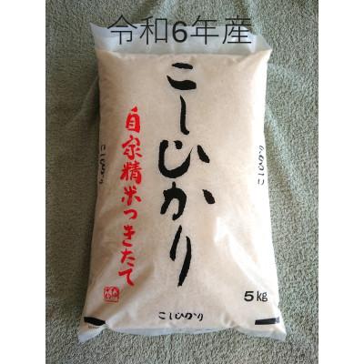 ふるさと納税 鉾田市 令和6年産 厳選 茨城県産コシヒカリ 精米5kg