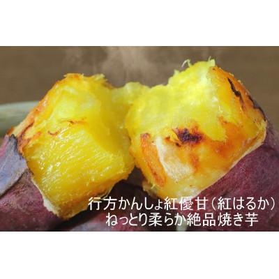 ふるさと納税 行方市 訳あり!紅はるか冷凍焼き芋 約1.7kg