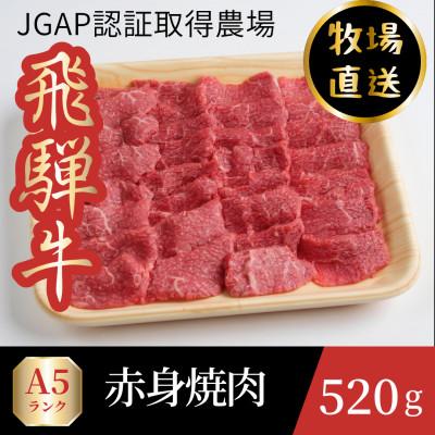 ふるさと納税 海津市 飛騨牛農場直送 赤身あぶり焼き肉