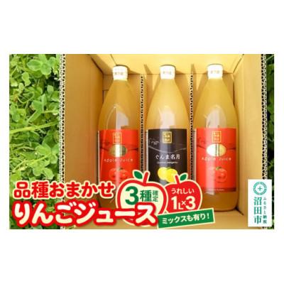 ふるさと納税 沼田市 [3種確定]果樹園マンサーナ りんごジュース おまかせ1L×3本セット