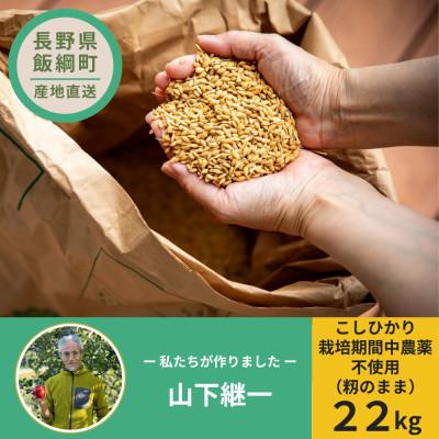 ふるさと納税 飯綱町 山下継一 栽培期間中農薬不使用米 こしひかり(籾のまま) 22kg