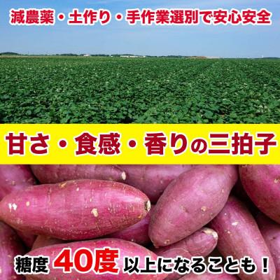 ふるさと納税 西原村 訳あり さつまいも 約5kg(西原村)の画像