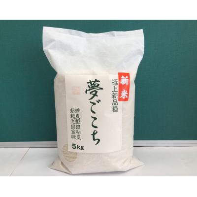 ふるさと納税 近江八幡市 [令和7年産]近江米夢ごこち 精米 5kg