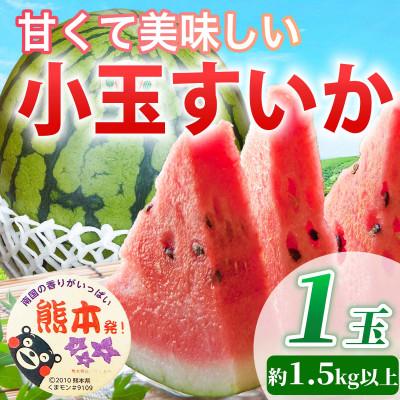 ふるさと納税 山鹿市 小玉すいか 1玉入り 3Lサイズ 約1.5kg以上(山鹿市)