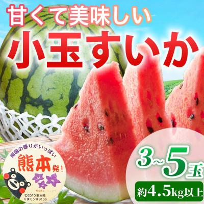 ふるさと納税 山鹿市 小玉すいか 3〜5玉入り L以上 約4.5kg以上(山鹿市)