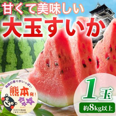 ふるさと納税 山鹿市 [先行予約] 熊本県産 見た目にビックリ! 甘〜い 大玉すいか 3L以上 1玉 約8kg(山鹿市)
