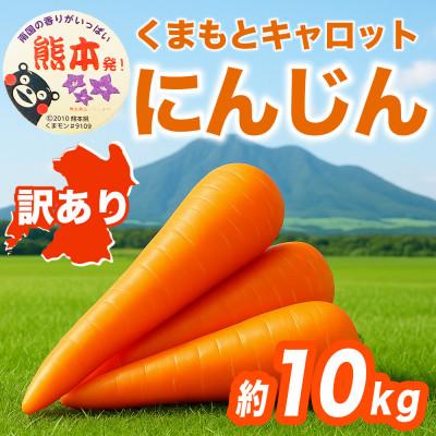 ふるさと納税 大津町 にんじん 訳あり 約10kg(大津町)