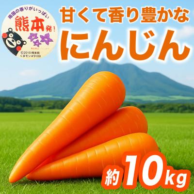 ふるさと納税 大津町 にんじん 約10kg(大津町)