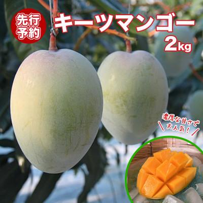 ふるさと納税 南城市 [先行予約・数量限定]キーツマンゴー(優品)2kg 2〜3玉入り