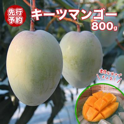 ふるさと納税 南城市 [先行予約・数量限定]キーツマンゴー(優品) 800g 1~2玉入り