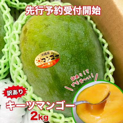 ふるさと納税 南城市 [先行予約・数量限定]ご家庭用キーツマンゴー 2kg 2〜7玉入り