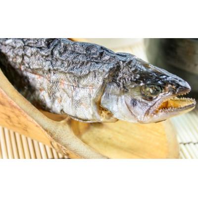 ふるさと納税 富士川町 ヤマメの骨酒(1本)