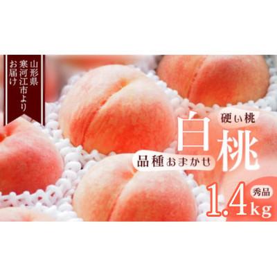 ふるさと納税 寒河江市 白桃[硬い桃]1.4kg(4〜6玉) 品種おまかせ 秀品 2026年産