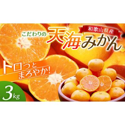 ふるさと納税 田辺市 天海みかん 完熟宮川早生3kg [先行予約]/ 和歌山[nak005-1]