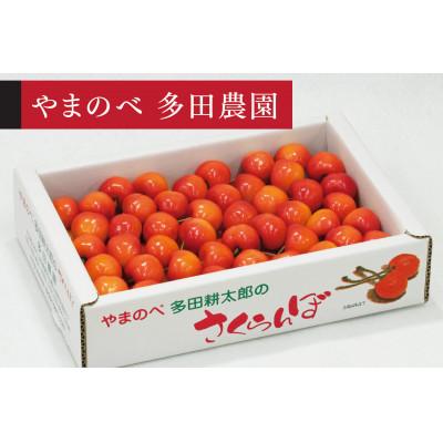 ふるさと納税 中山町 [2026年 先行受付][紅秀峰]バラ詰 700g