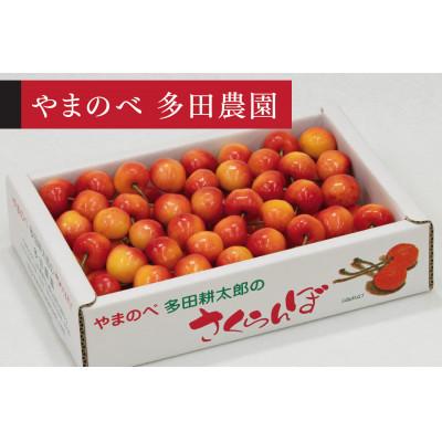 ふるさと納税 中山町 [2026年 先行受付][レーニア]バラ詰 700g