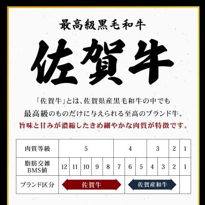 ふるさと納税 上峰町 佐賀牛 シャトーブリアン 500g(上峰町) |  | 03