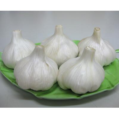 ふるさと納税 観音寺市 乾燥にんにく 約1kg