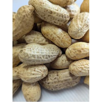 ふるさと納税 秦野市 秦野の特産 生落花生 おおまさり from 名水の里 神奈川県 秦野市