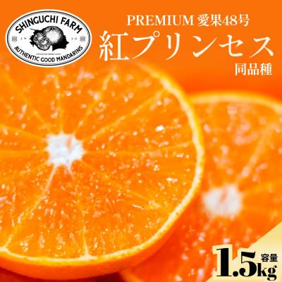 ふるさと納税 八幡浜市 紅プリンセスと同品種「甘平×まどんな」愛果48号[1.5kg][新品種][家庭用][C70-146]
