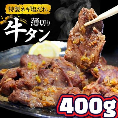 ふるさと納税 小林市 特製ネギ塩だれ 薄切り牛タン400g(小林市)(E146)