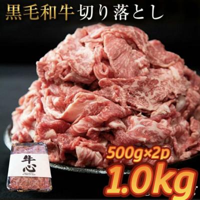 ふるさと納税 小林市 [人気精肉店からお届け]小林市産 黒毛和牛 切り落とし 1kg(小林市)(E183)