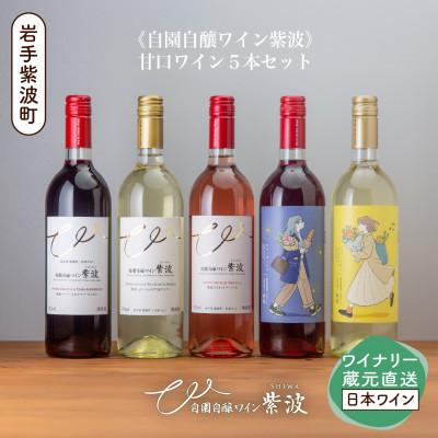 ふるさと納税 紫波町 [自園自醸ワイン紫波]甘口ワイン5本セット