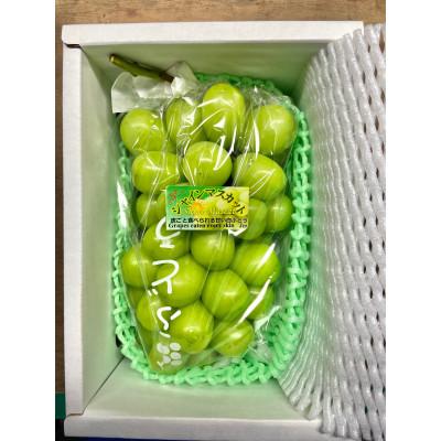 ふるさと納税 高畠町 [先行予約]令和8年産 シャインマスカット1房(約800g)