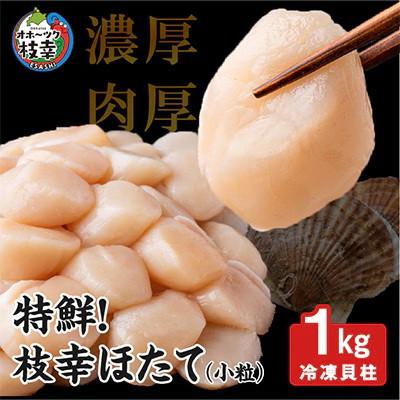 ふるさと納税 枝幸町 特鮮!枝幸ほたて(小粒)冷凍貝柱1kg(6S〜7Sサイズ)