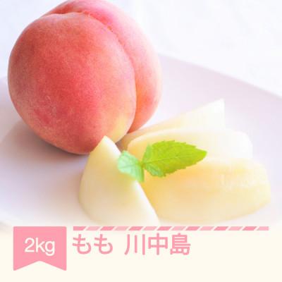 ふるさと納税 村山市 2026年産 桃 川中島 2kg(5-8玉)