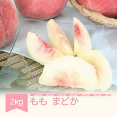 ふるさと納税 村山市 桃まどか 2kg(5-8玉)