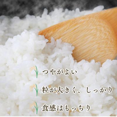 ふるさと納税 吉野ヶ里町 【先行予約】(新米)令和8年産 さがびより (白米) 5kg (吉野ヶ里町) |  | 02