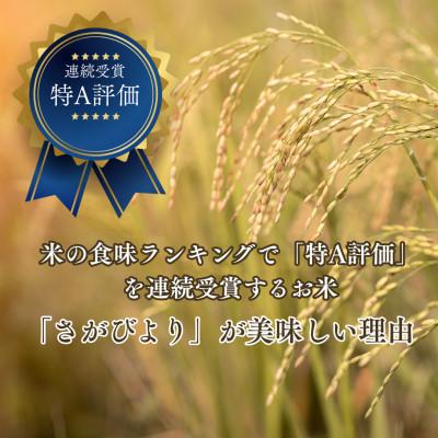 ふるさと納税 吉野ヶ里町 【先行予約】(新米)令和8年産 さがびより (白米) 10kg(5kg×2袋) 吉野ヶ里町 |  | 01