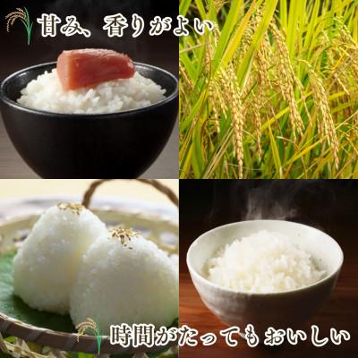 ふるさと納税 吉野ヶ里町 【先行予約】(新米)令和8年産 さがびより (白米) 10kg(5kg×2袋) 吉野ヶ里町 |  | 03