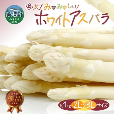 ふるさと納税 美深町 [2026年先行予約]北海道産 旬の朝採れ ホワイトアスパラ 約1kg (2L〜3L) 優品