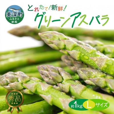 ふるさと納税 美深町 [2026年先行予約]北海道産 旬の朝採れ グリーンアスパラ 約1kg (L) 秀品