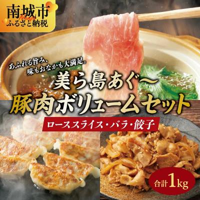 ふるさと納税 南城市 [美ら島あぐー]豚肉ボリュームセット