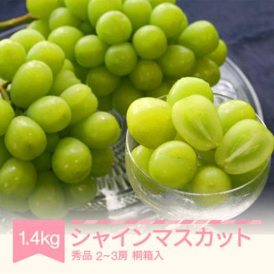 ふるさと納税 村山市 シャインマスカット 秀品 1.4kg(2-3房) 桐箱入