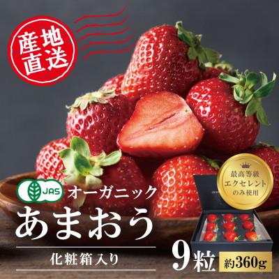 ふるさと納税 筑後市 [贈答用]有機あまおう 9粒