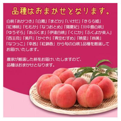 ふるさと納税 寒河江市 山形の白桃 3kg(8〜16玉)  品種おまかせ 秀品 2026年産の画像