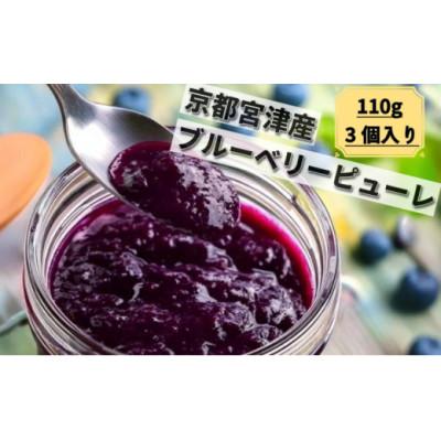 ふるさと納税 宮津市 ブルーベリーピューレ 3個セット(ブルーベリー100% 無糖)
