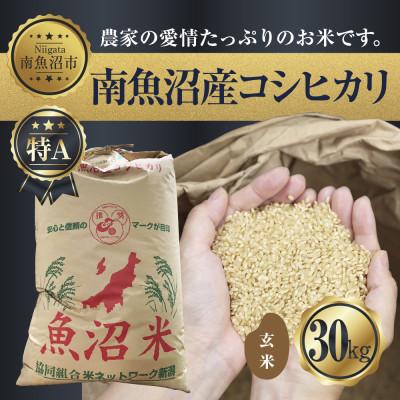 ふるさと納税 南魚沼市 [玄米] 新潟県 南魚沼産 コシヒカリ 30kg (お米の美味しい炊き方ガイド付き)