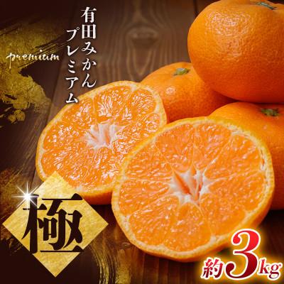 ふるさと納税 北山村 [25年12月〜順次発送]極 有田みかんプレミアム 約3kg[高糖度選別品][nuk168sato]