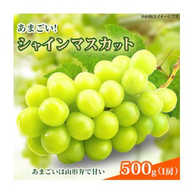 ふるさと納税 寒河江市 あまごい!シャインマスカット 500g (1房)秀品[贈答用]2026年産 山形県産