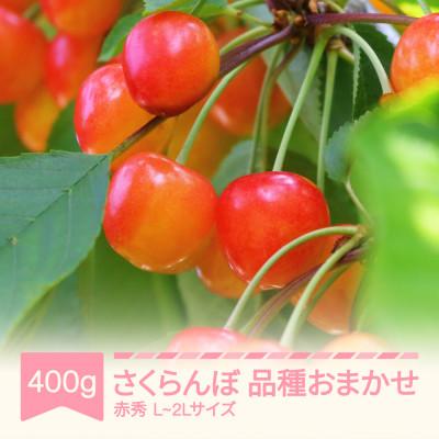 ふるさと納税 村山市 さくらんぼ品種おまかせ 赤秀 400g×1