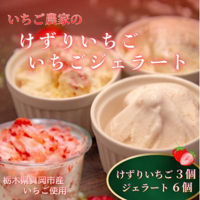 ふるさと納税 真岡市 いちご農家の[けずりいちごといちごジェラート]ジェラート3種×2個(計6個)+けずりいちご3個
