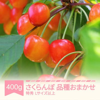 ふるさと納税 村山市 さくらんぼ 品種おまかせ 特秀 Lサイズ以上 400g バラ詰